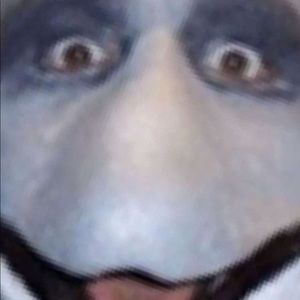 Meet your Posher, Hunter